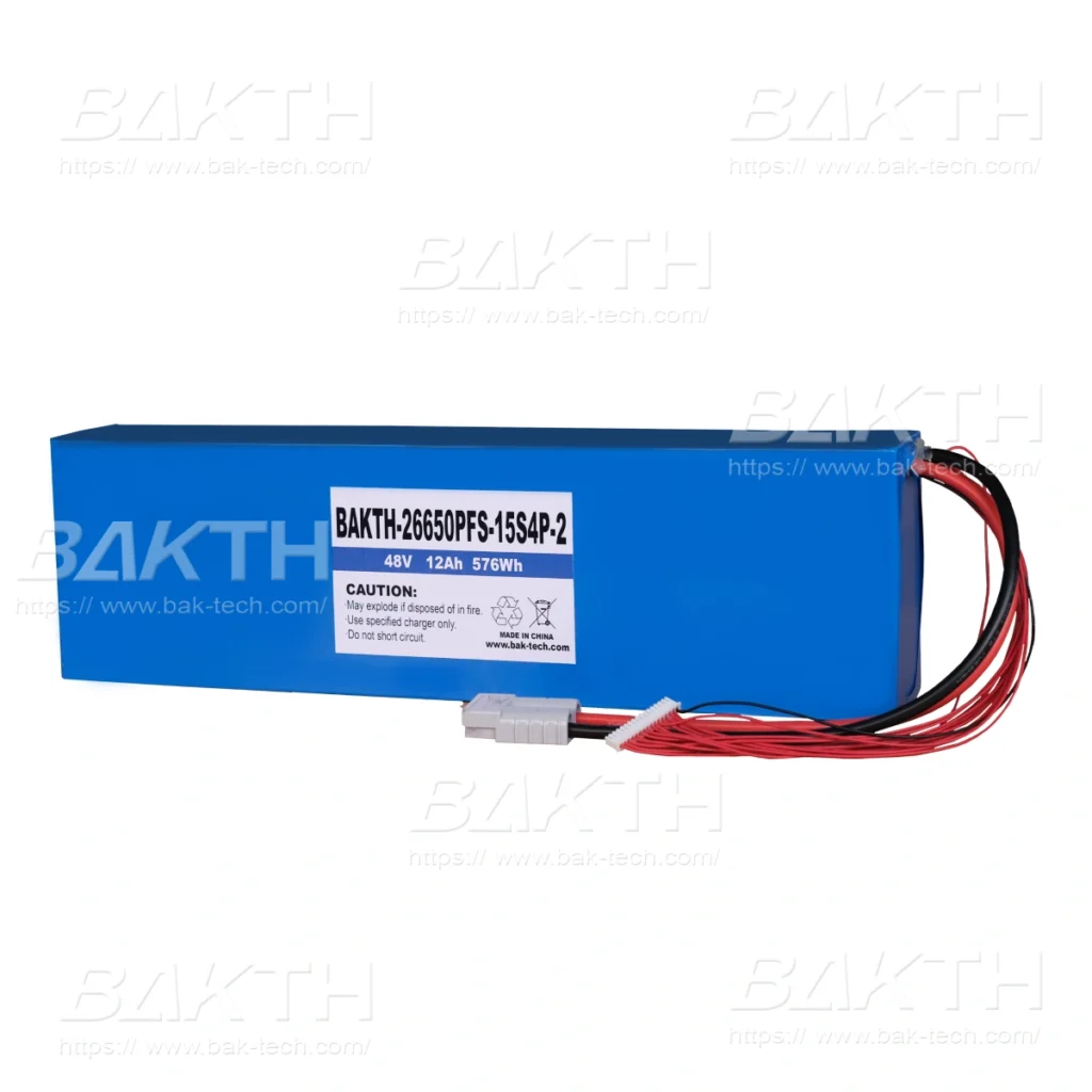 BAKTH-26650PFS-15S4P-2, 48V, 12Ah, 576Wh_4