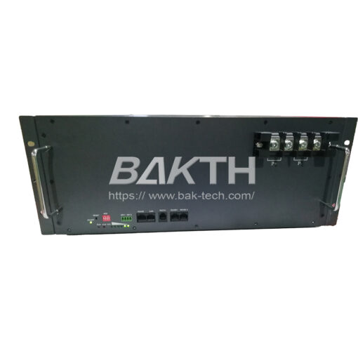 Аккумулятор BAKTH 48В 100Ач 4800Втч 15S1P lifepo4